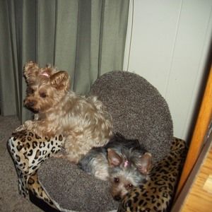 Meet your Posher, Jacqueline